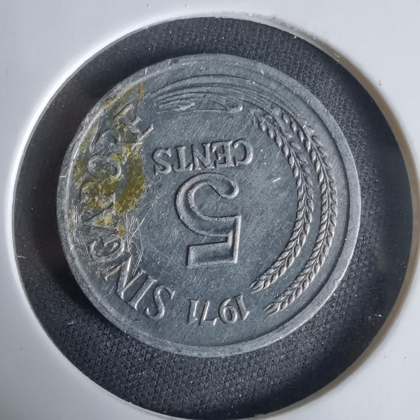 沼泽如烟--第1047场