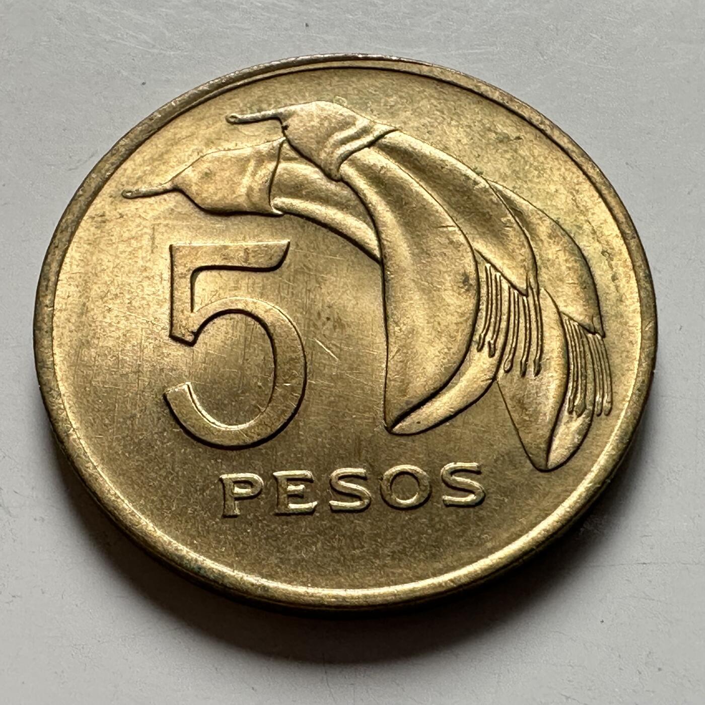 🌹外币初藏🌹🐯2026年第40场   每周二四六晚8️⃣点 世界钱币 乌拉圭 1969年5比索