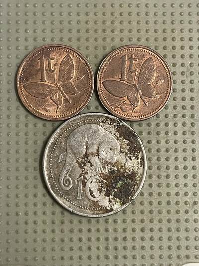 2026年第42场各国散币拍卖（总第192场） - 巴布亚新几内亚3枚