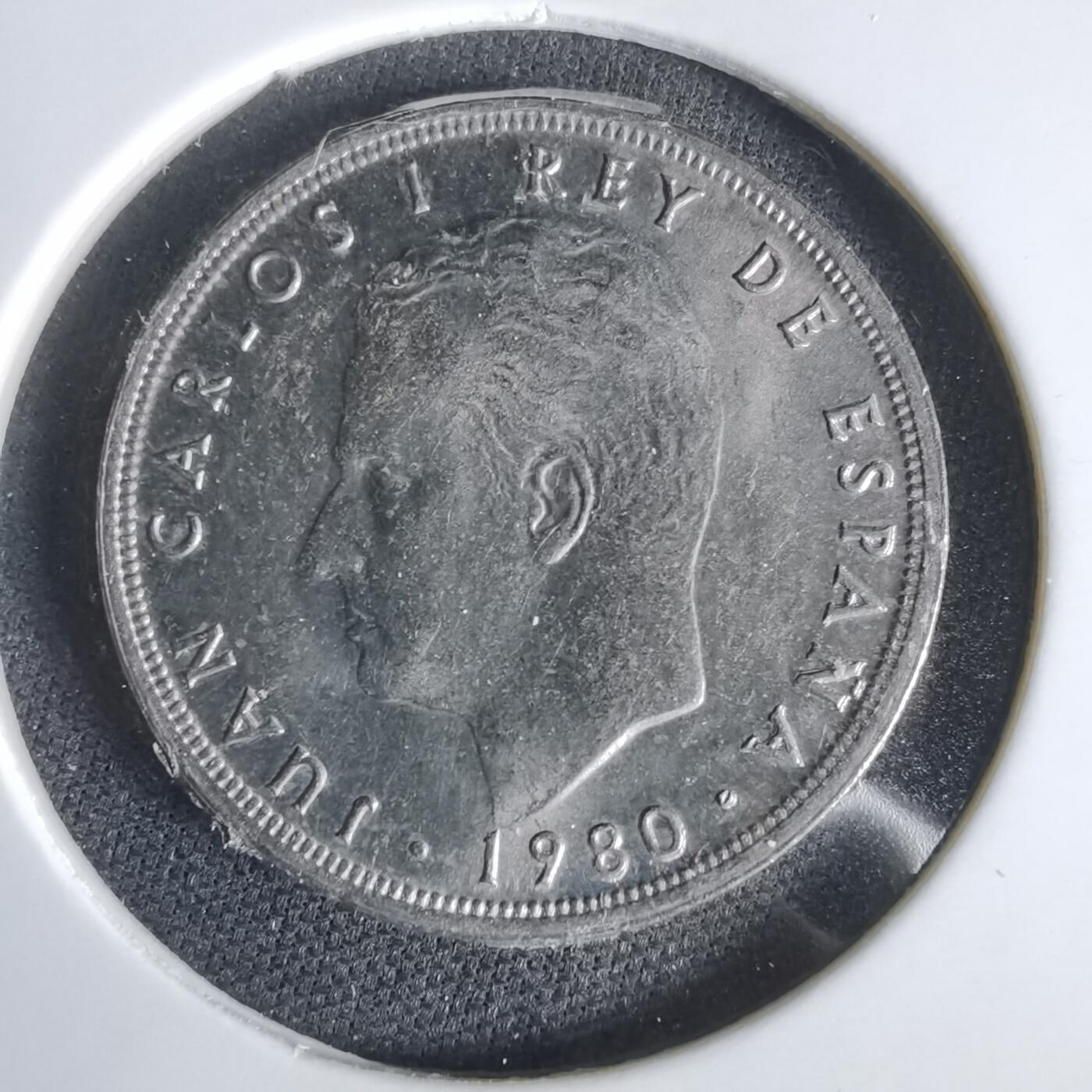 沼泽如烟--第1047场