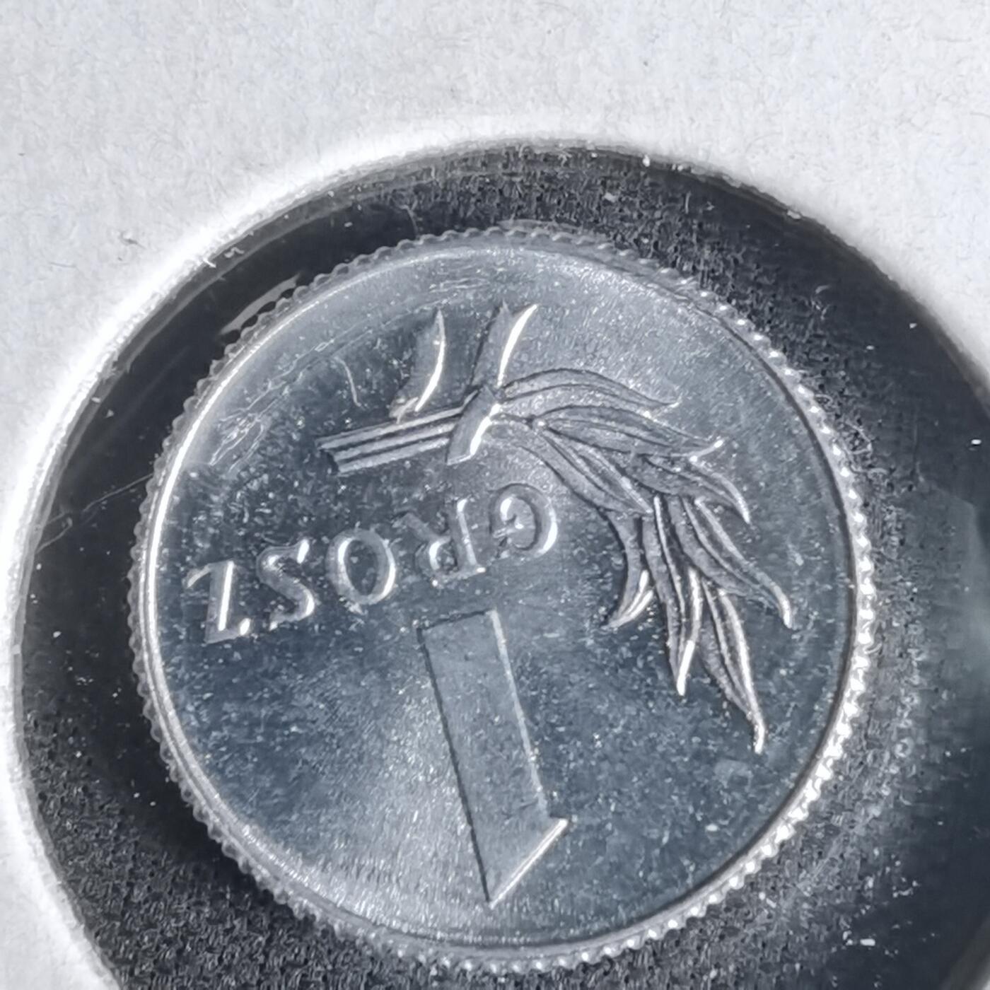 沼泽如烟--第1047场