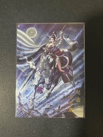 NO.29 好又多金牌大场，每周一站式配齐，方便凑单！（卖家送拍0抽成！周6晚9点截拍！） - 鼎好卡牌 赵云 粗闪