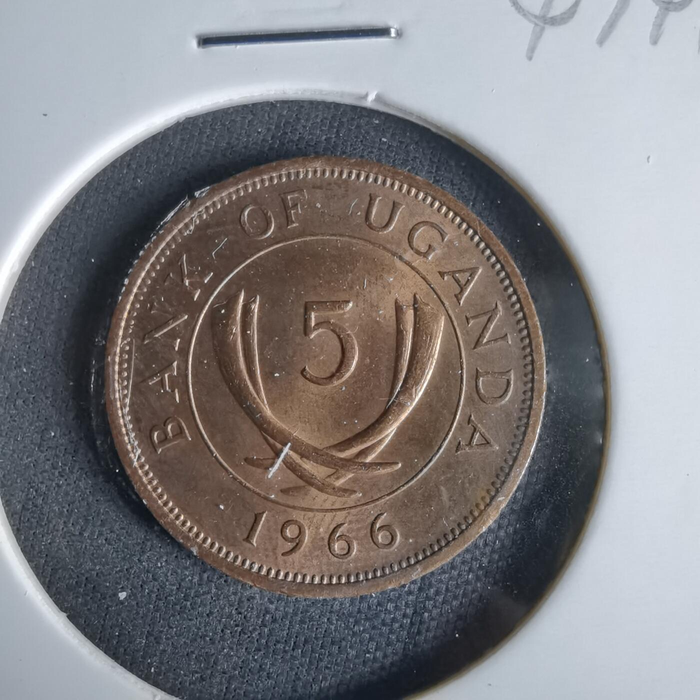 沼泽如烟--第1047场