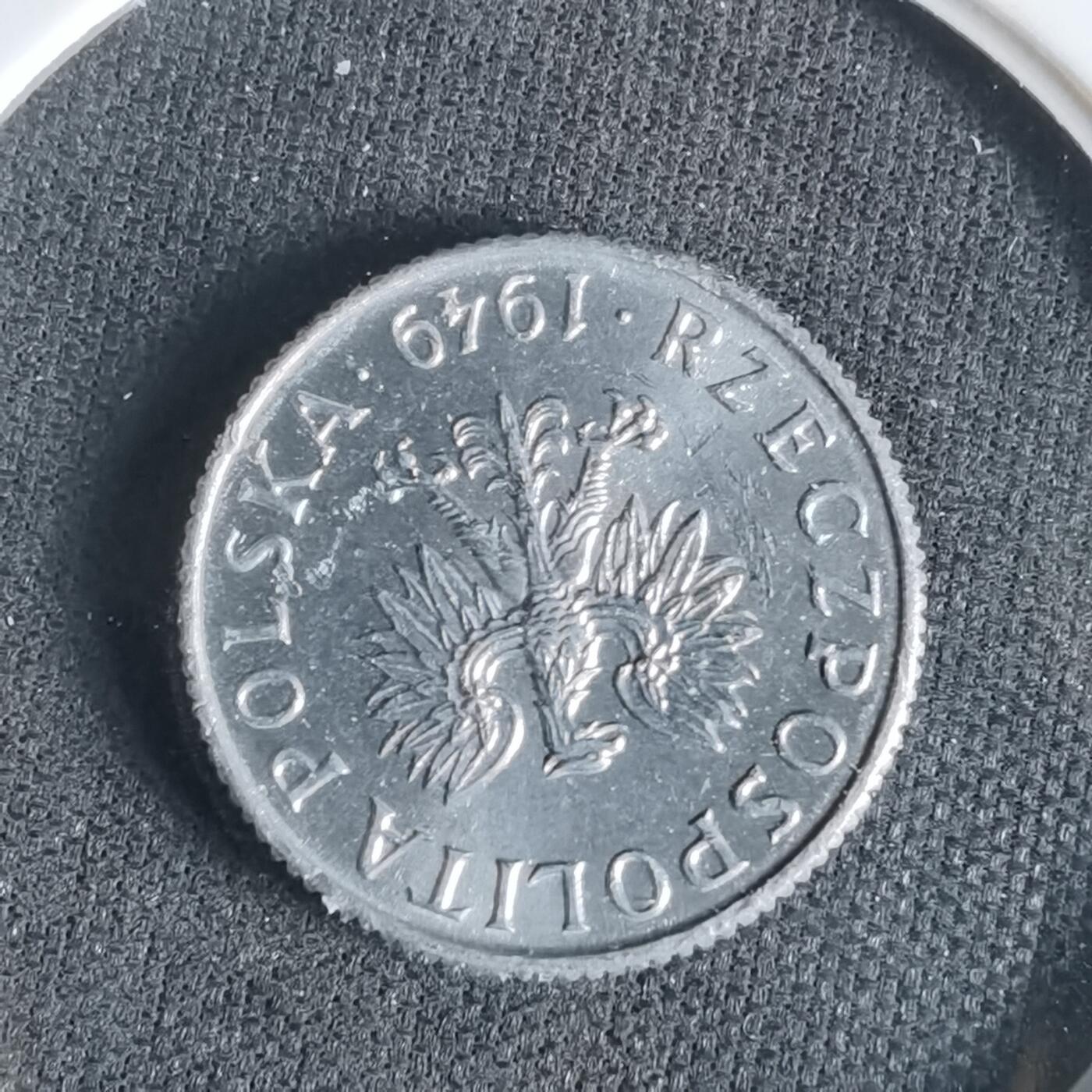 沼泽如烟--第1047场