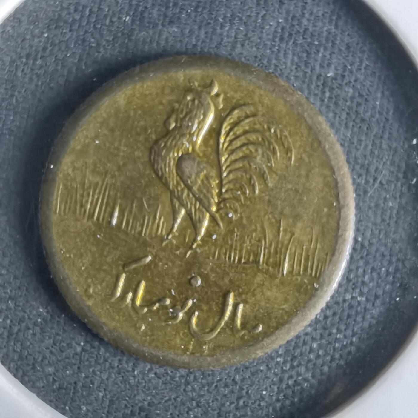 沼泽如烟--第1047场