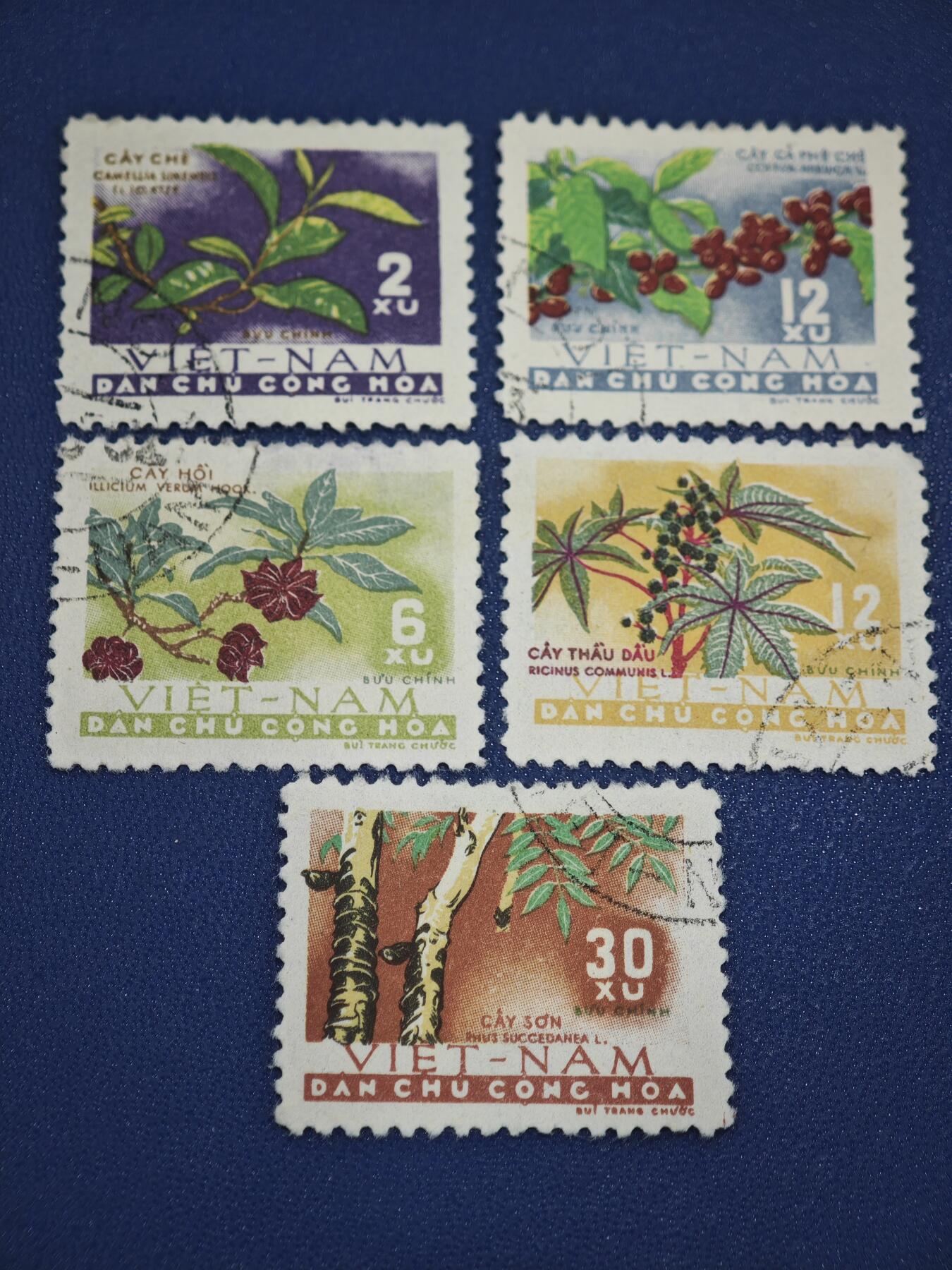 橙子收藏第八期(社会主义国家邮票专场)  越南民主共和国（北越）1960年代 经济作物系列邮票（5枚）  这是一套以越南本土经济作物为主题的邮票，是北越早期展现农业资源的代表性邮票之一。