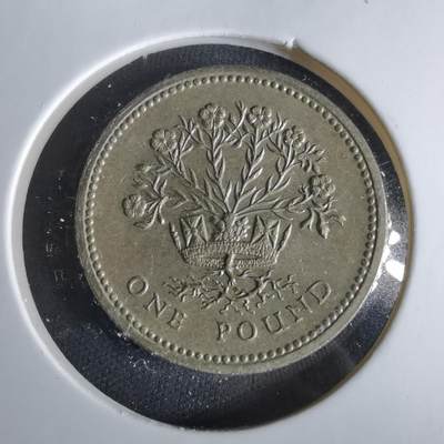 沼泽如烟--第1047场 - 英国1986年一磅