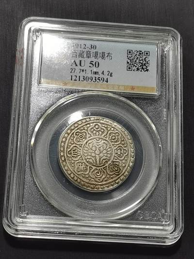 天下钱庄专场欢迎参拍 - 西藏章噶银币