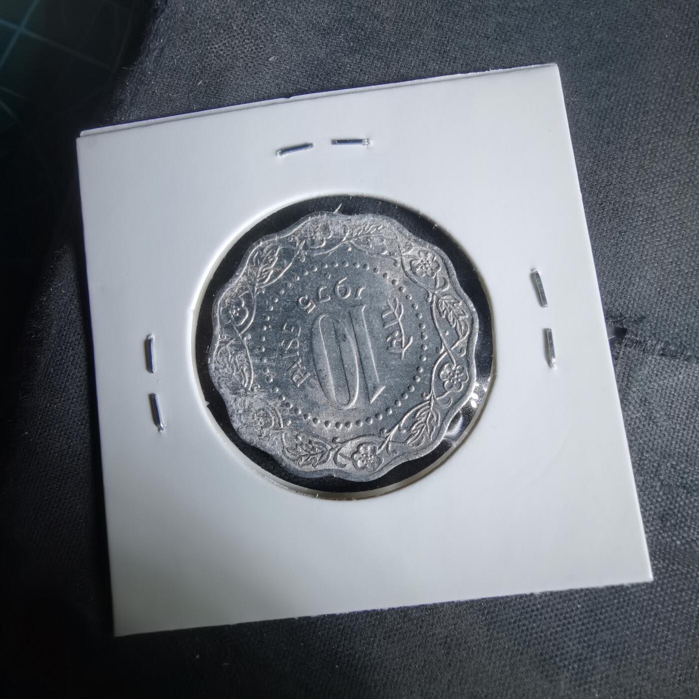 沼泽如烟--第1047场