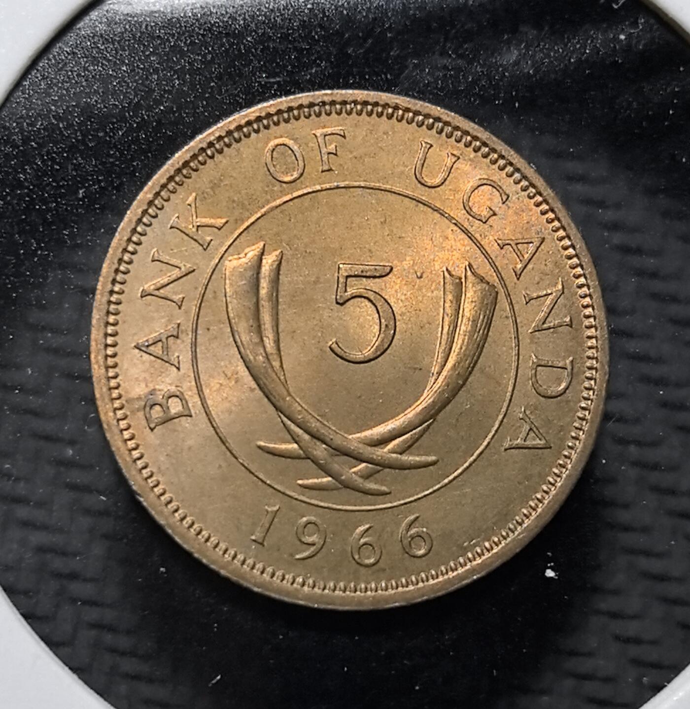 外国优质老铜币纪念币银币专场，周六晚上九点倒数截拍，满百包邮，周日发货,可寄存半年，喜欢朋友微信扫描二维码可直接参拍