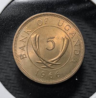 外国优质老铜币纪念币银币专场，周六晚上九点倒数截拍，满百包邮，周日发货,可寄存半年，喜欢朋友微信扫描二维码可直接参拍 - 乌干达象牙1966 年5 分铜币，是乌干达独立后发行的首套流通货币之一，正面铸 “BANK OF UGANDA” 及象征传统的交叉象牙图案，背面为面值与年份。