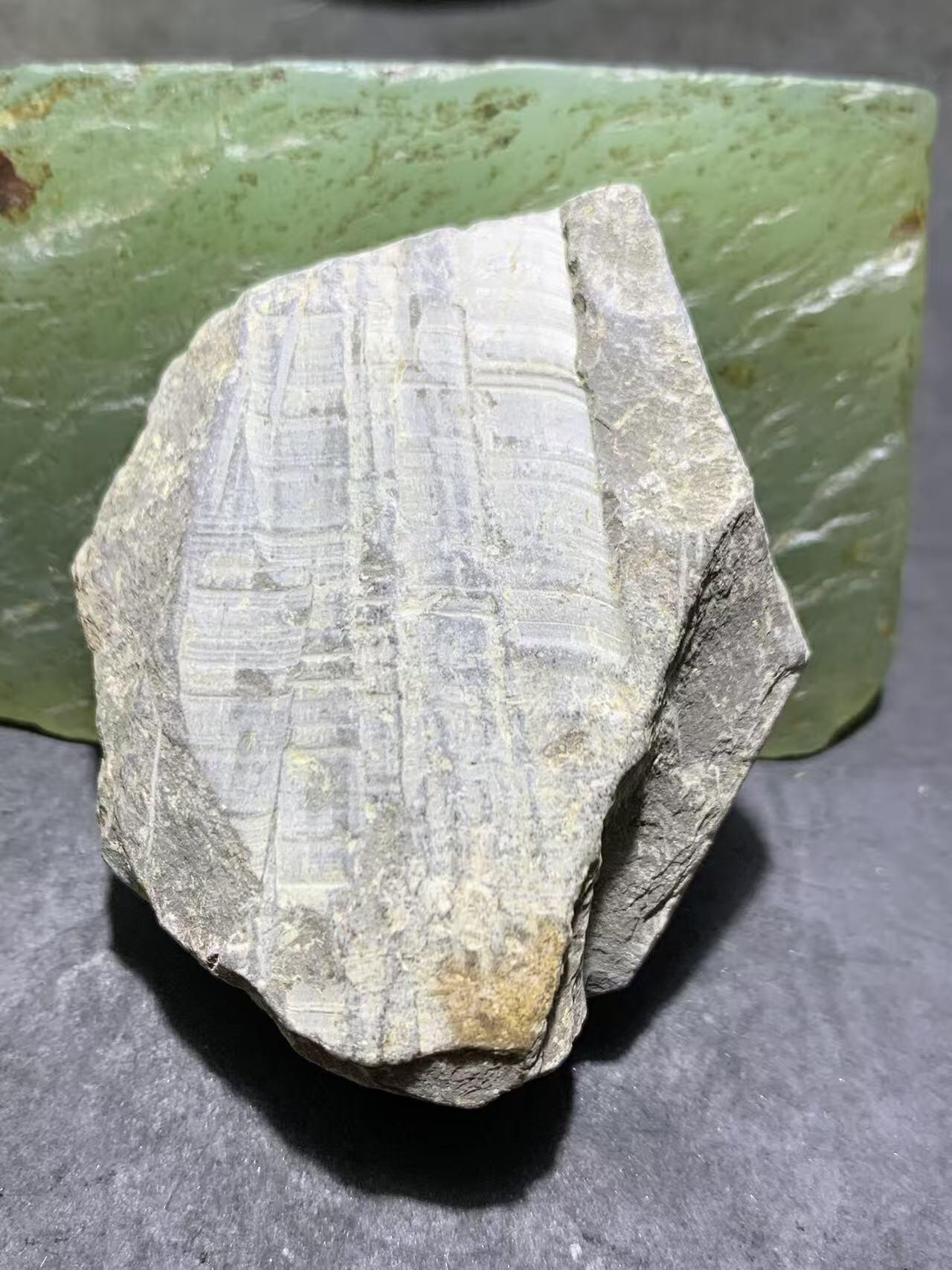 精美天然湘西三叶虫尾巴化石王冠虫张氏虫古生物化石标本原石一颗，