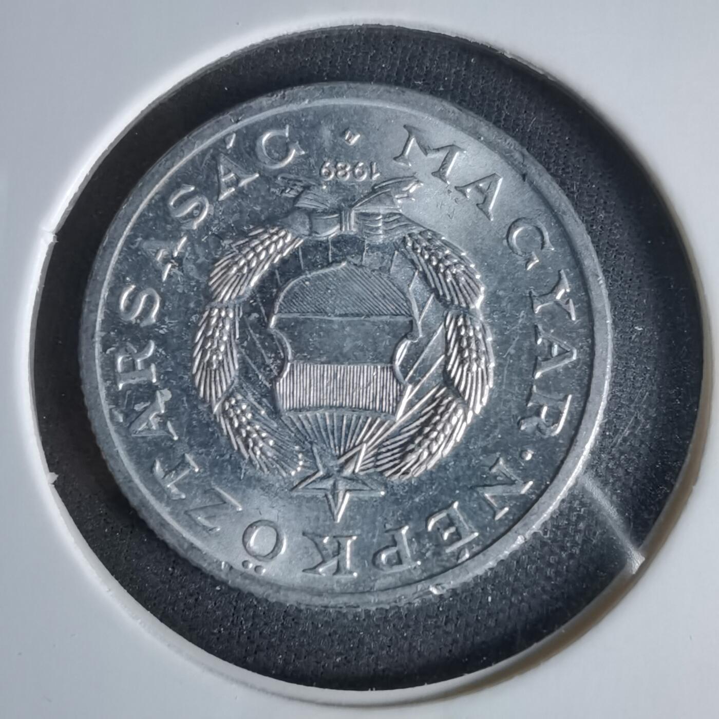 沼泽如烟--第1047场