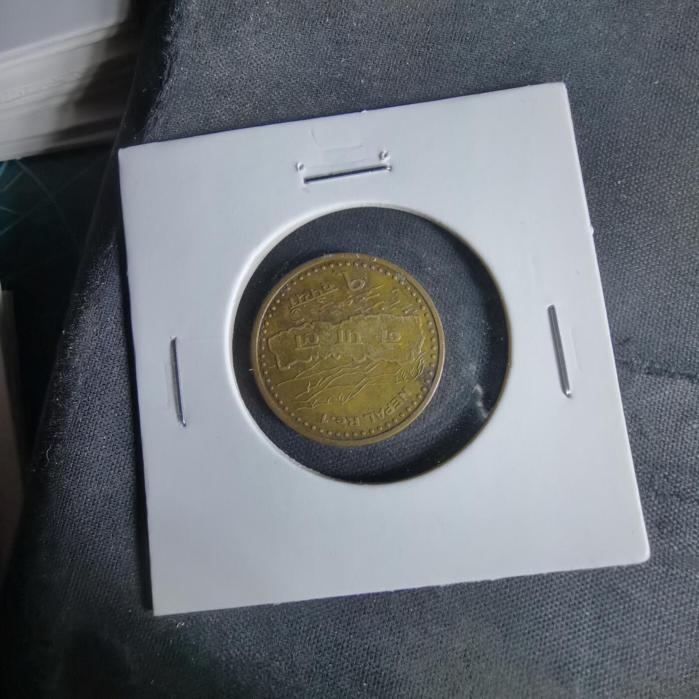 沼泽如烟--第1047场