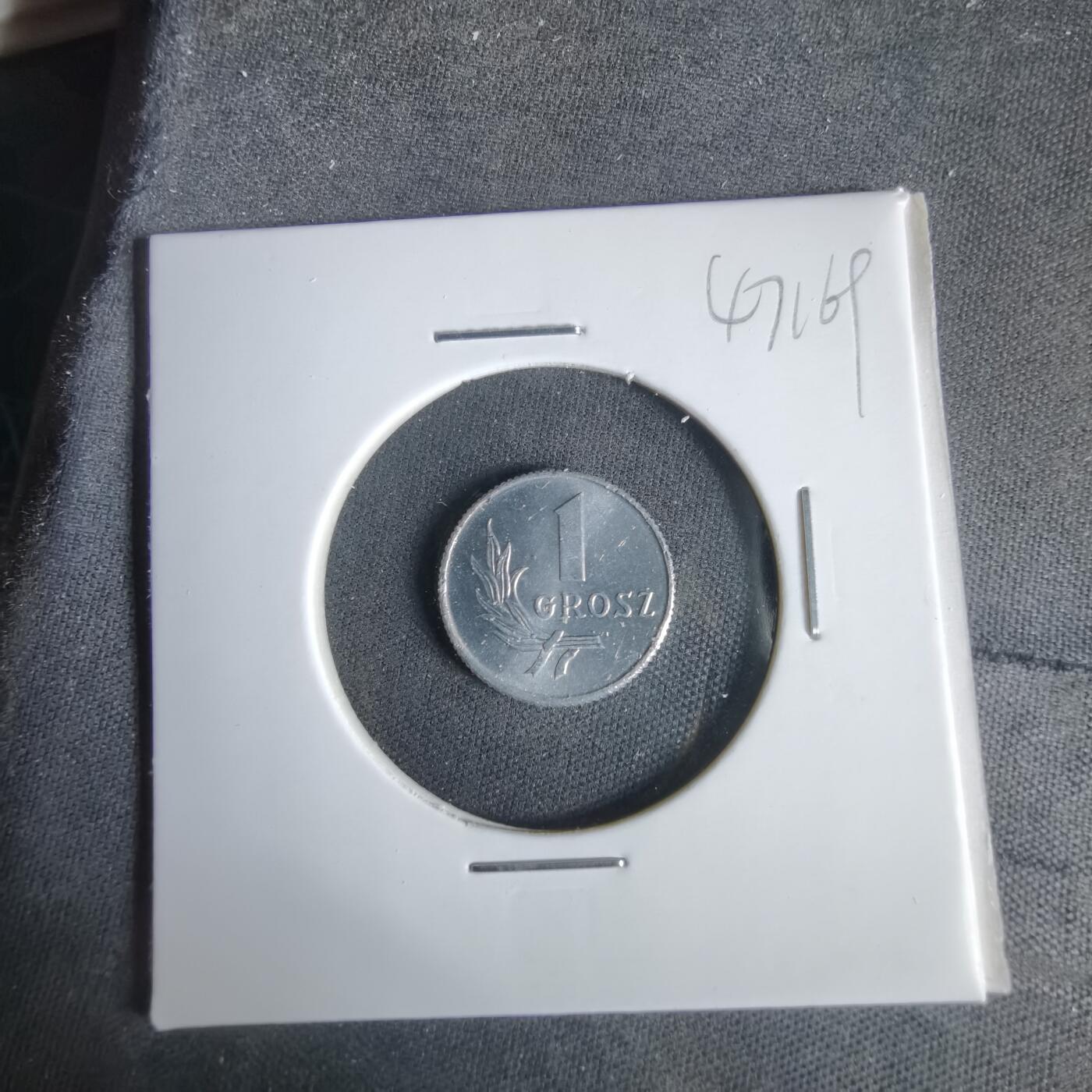 沼泽如烟--第1047场