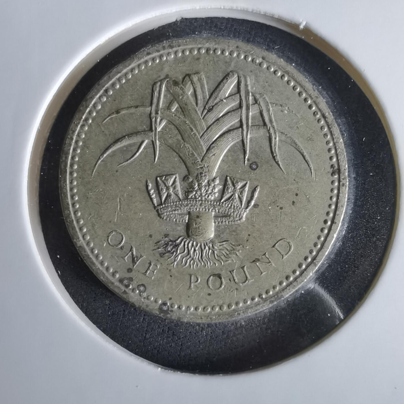 沼泽如烟--第1047场 英国1990年一磅