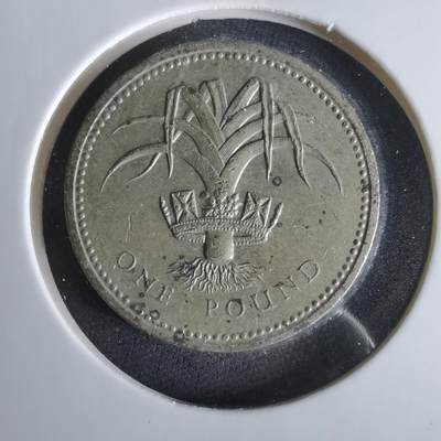 沼泽如烟--第1047场 - 英国1990年一磅