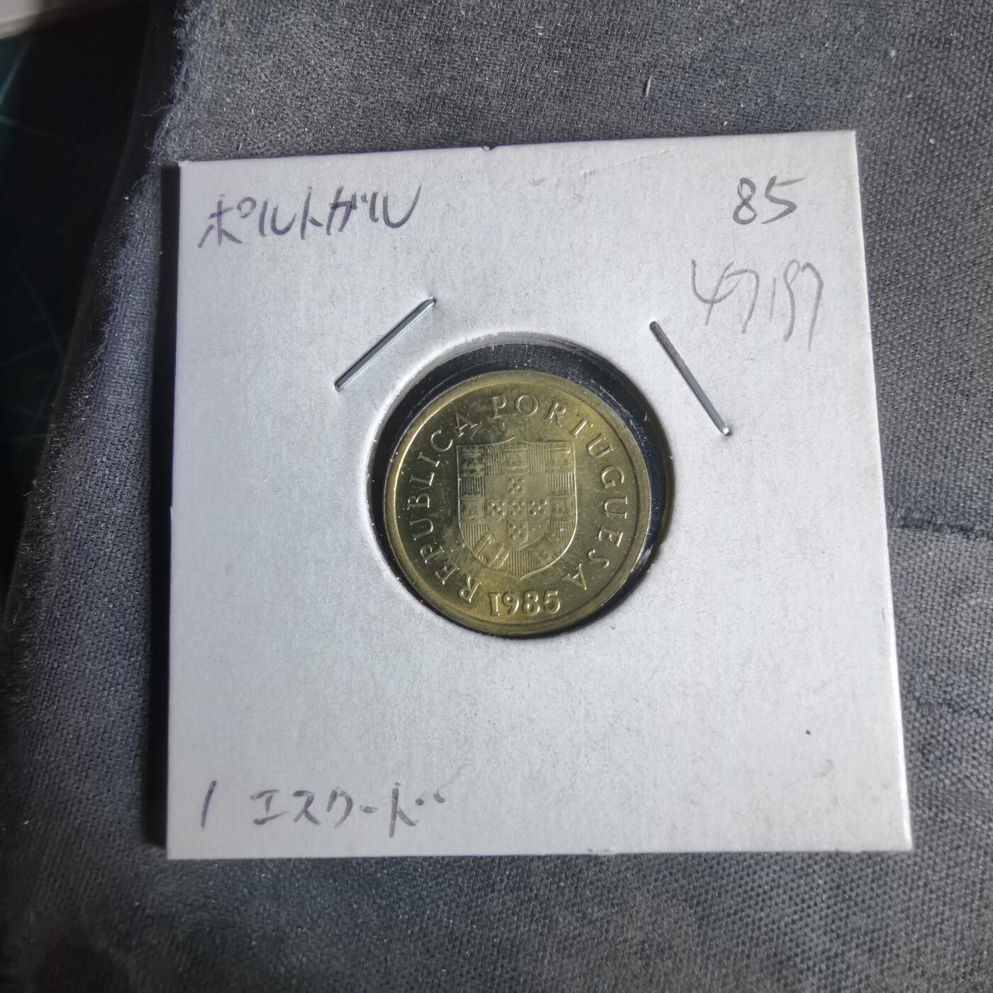 沼泽如烟--第1047场