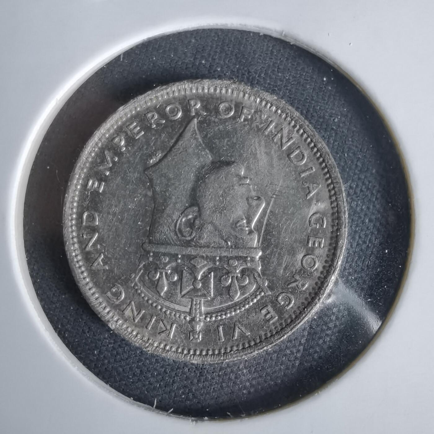 沼泽如烟--第1047场