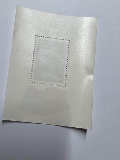 杂票 苏联邮票 1983年 苏联民航60周年 伊尔86型飞机 地球红旗小型张