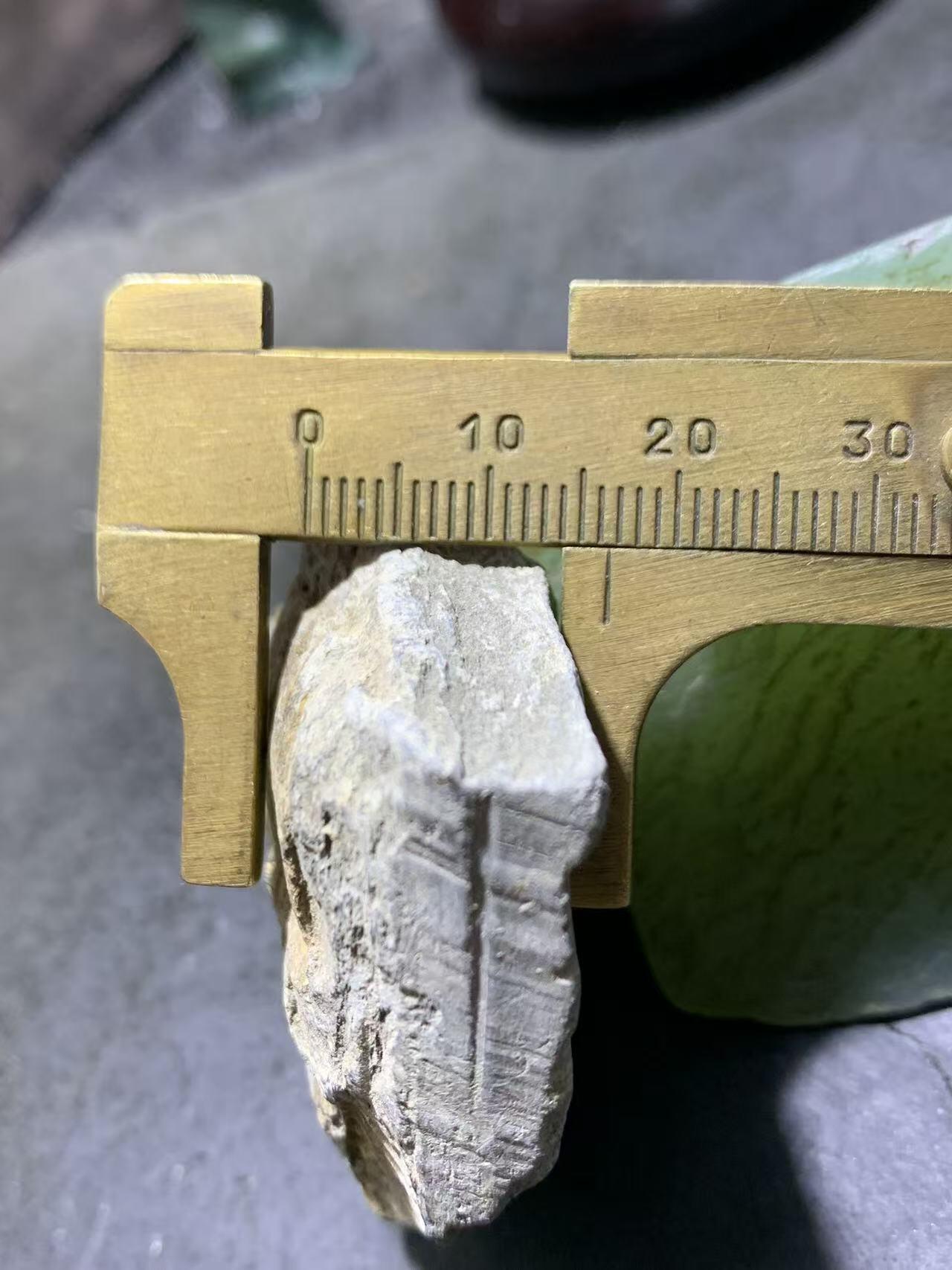 精美天然湘西三叶虫尾巴化石王冠虫张氏虫古生物化石标本原石一颗，