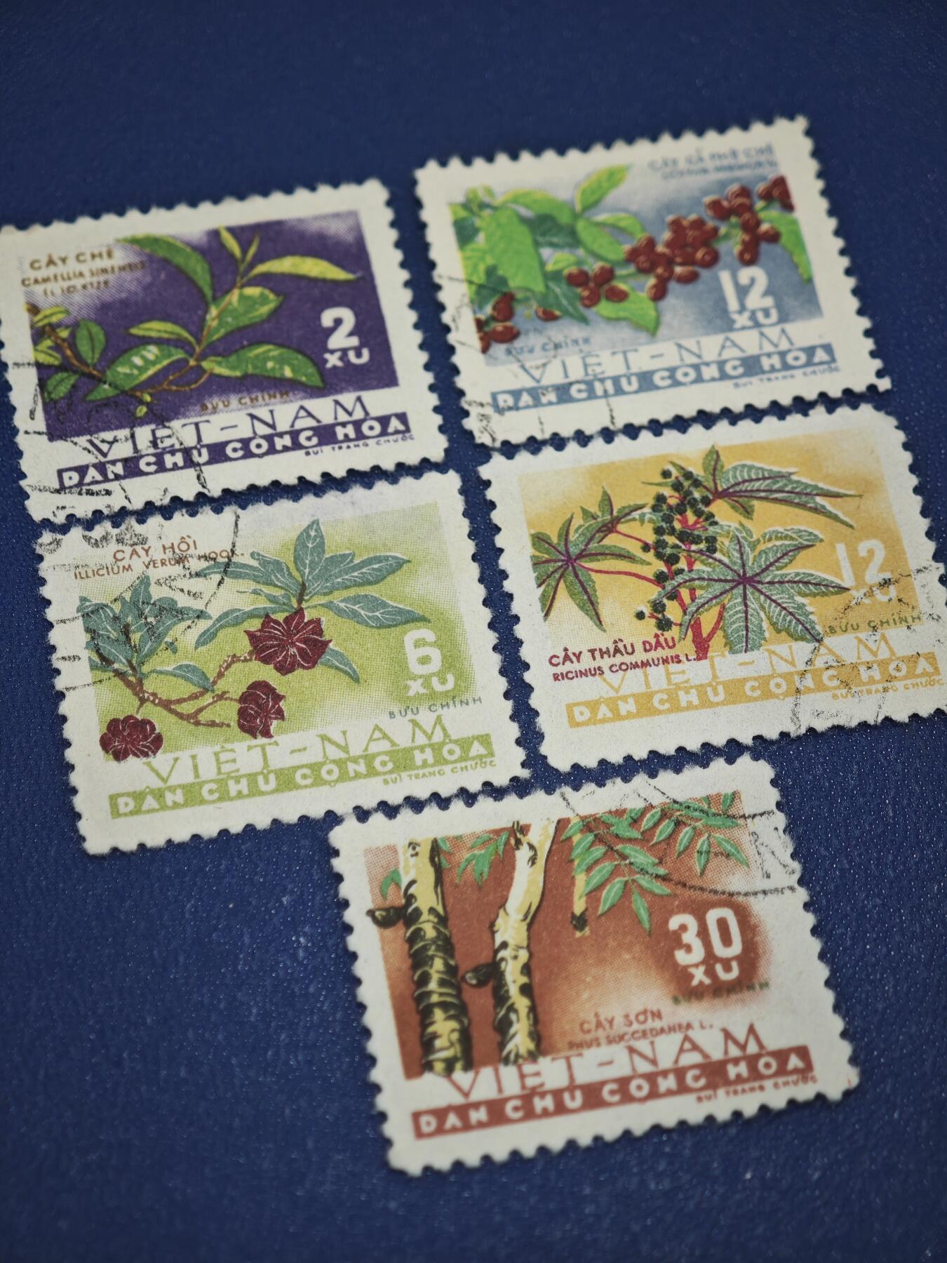 橙子收藏第八期(社会主义国家邮票专场)  越南民主共和国（北越）1960年代 经济作物系列邮票（5枚）  这是一套以越南本土经济作物为主题的邮票，是北越早期展现农业资源的代表性邮票之一。