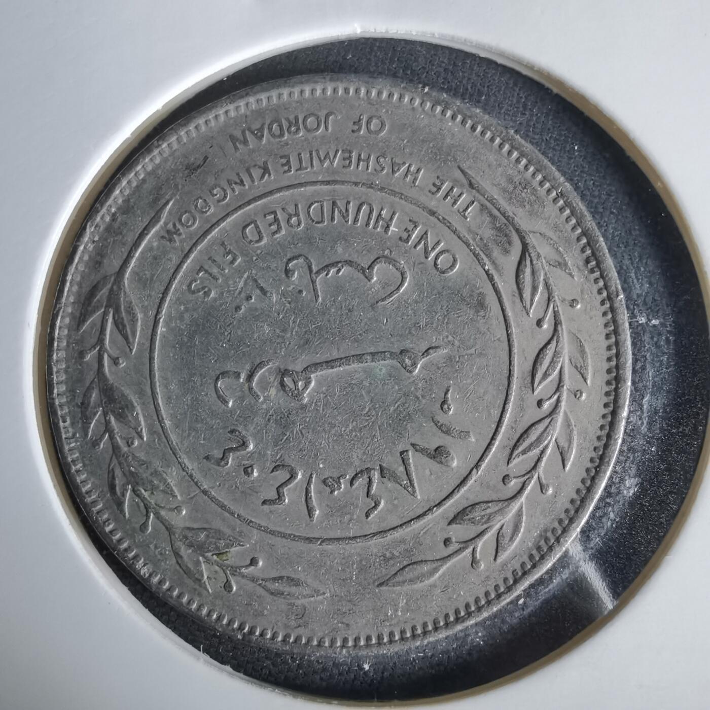 沼泽如烟--第1047场