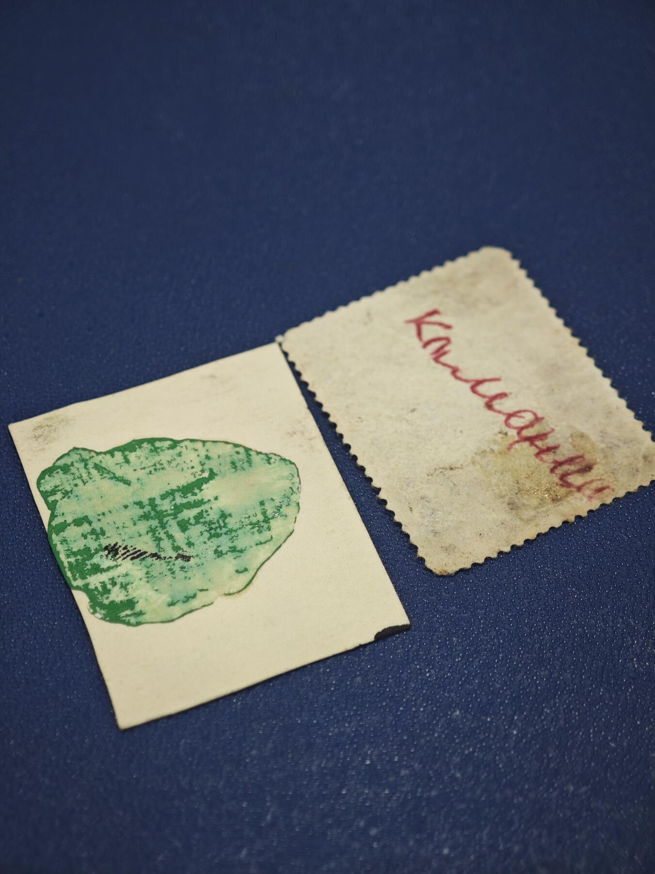 橙子收藏第八期(社会主义国家邮票专场)  1. 捷克斯洛伐克1949年列宁逝世25周年邮票。2. 东德1961年列宁逝世37周年邮票。两枚来自冷战时期社会主义阵营的列宁主题纪念邮票，分别发行于捷克斯洛伐克和东德，是上世纪中叶国际共运背景下的典型邮品。