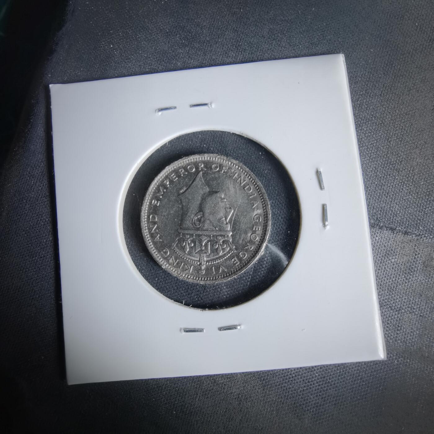 沼泽如烟--第1047场