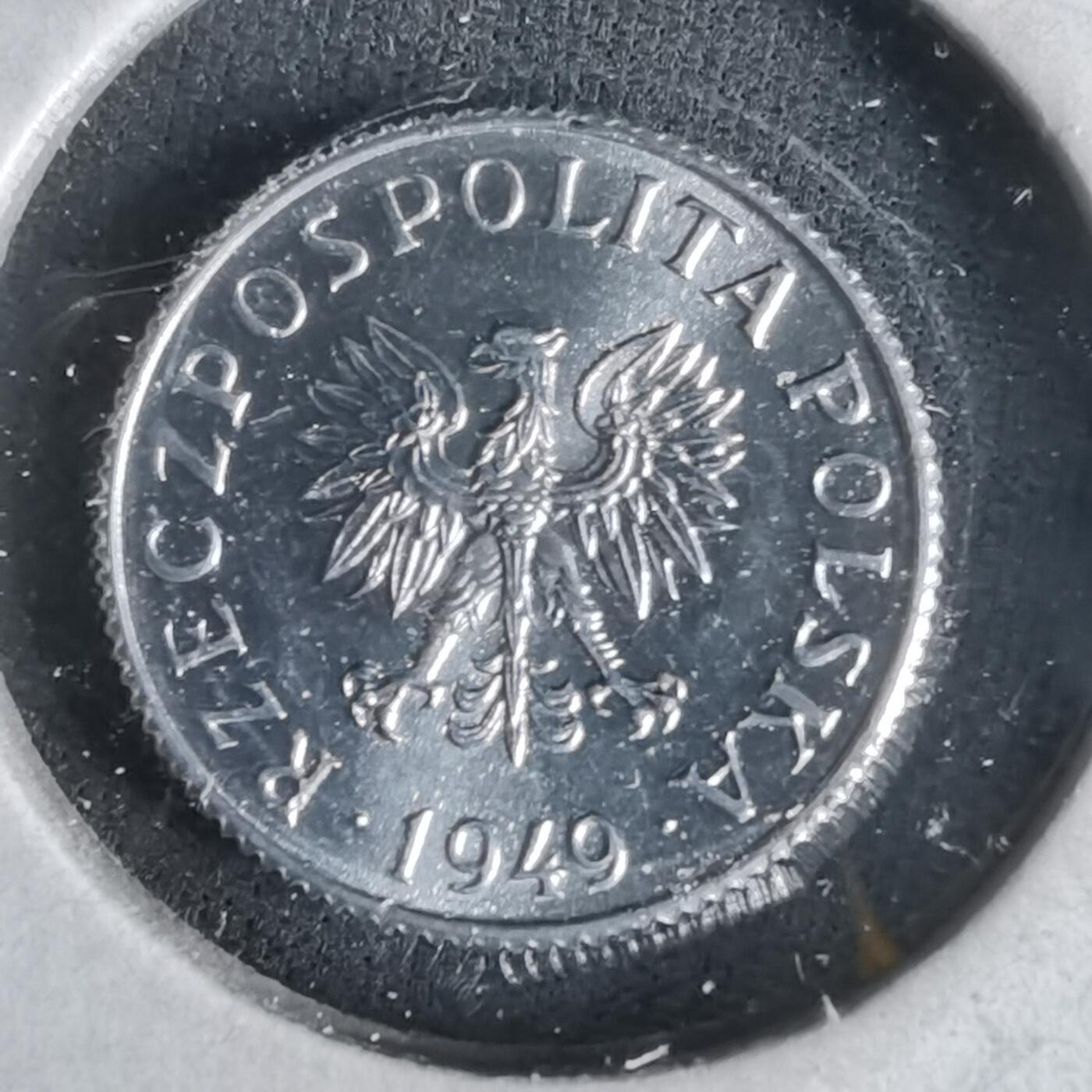 沼泽如烟--第1047场