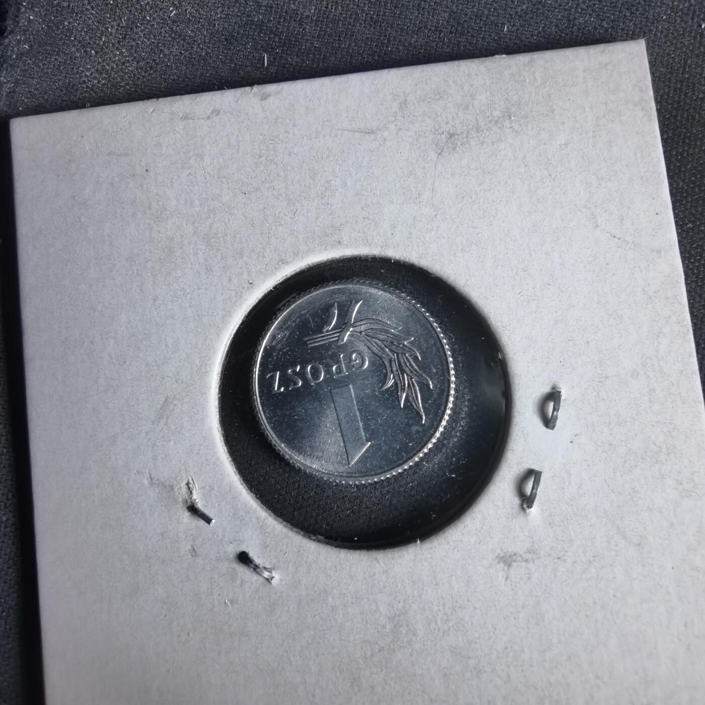 沼泽如烟--第1047场