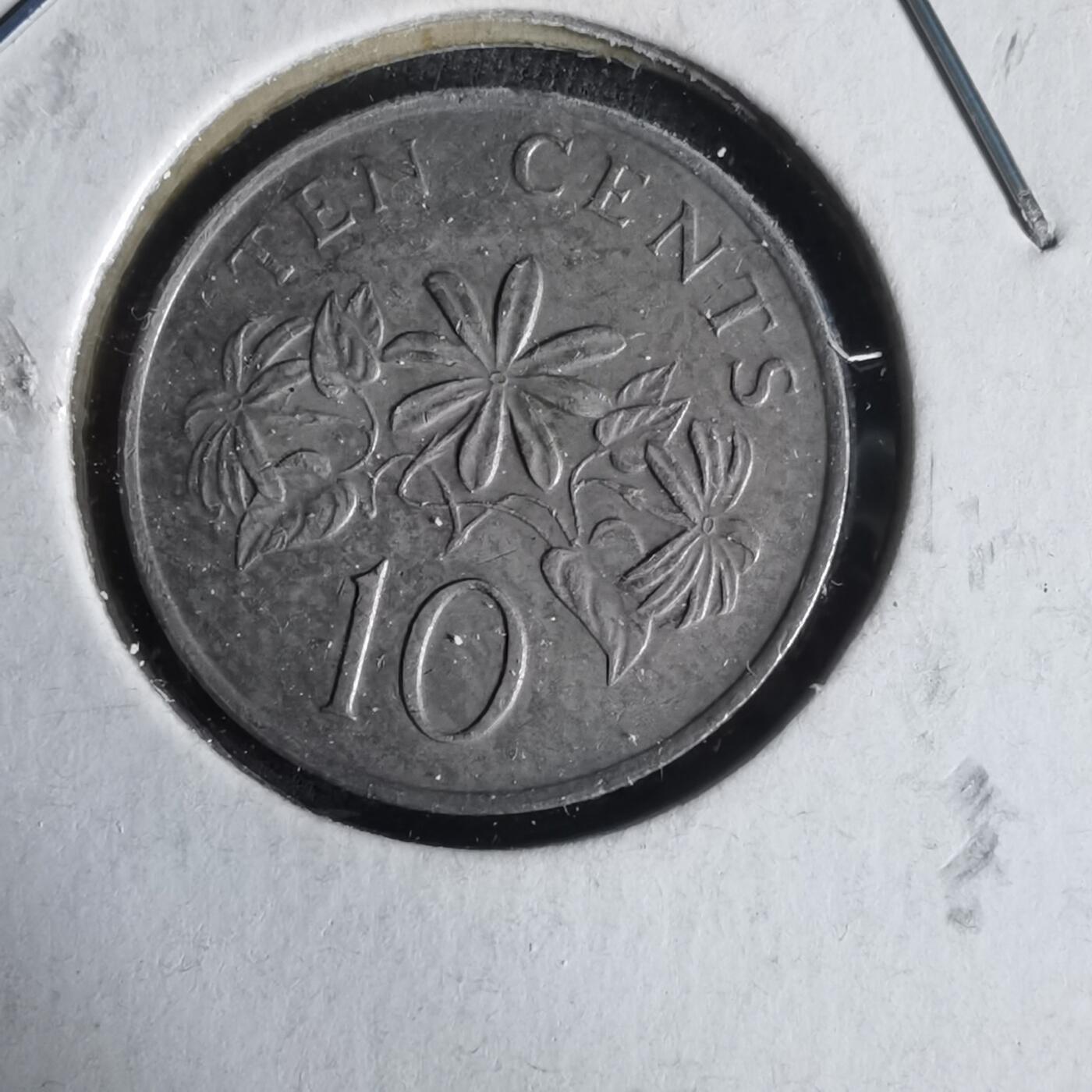 沼泽如烟--第1047场