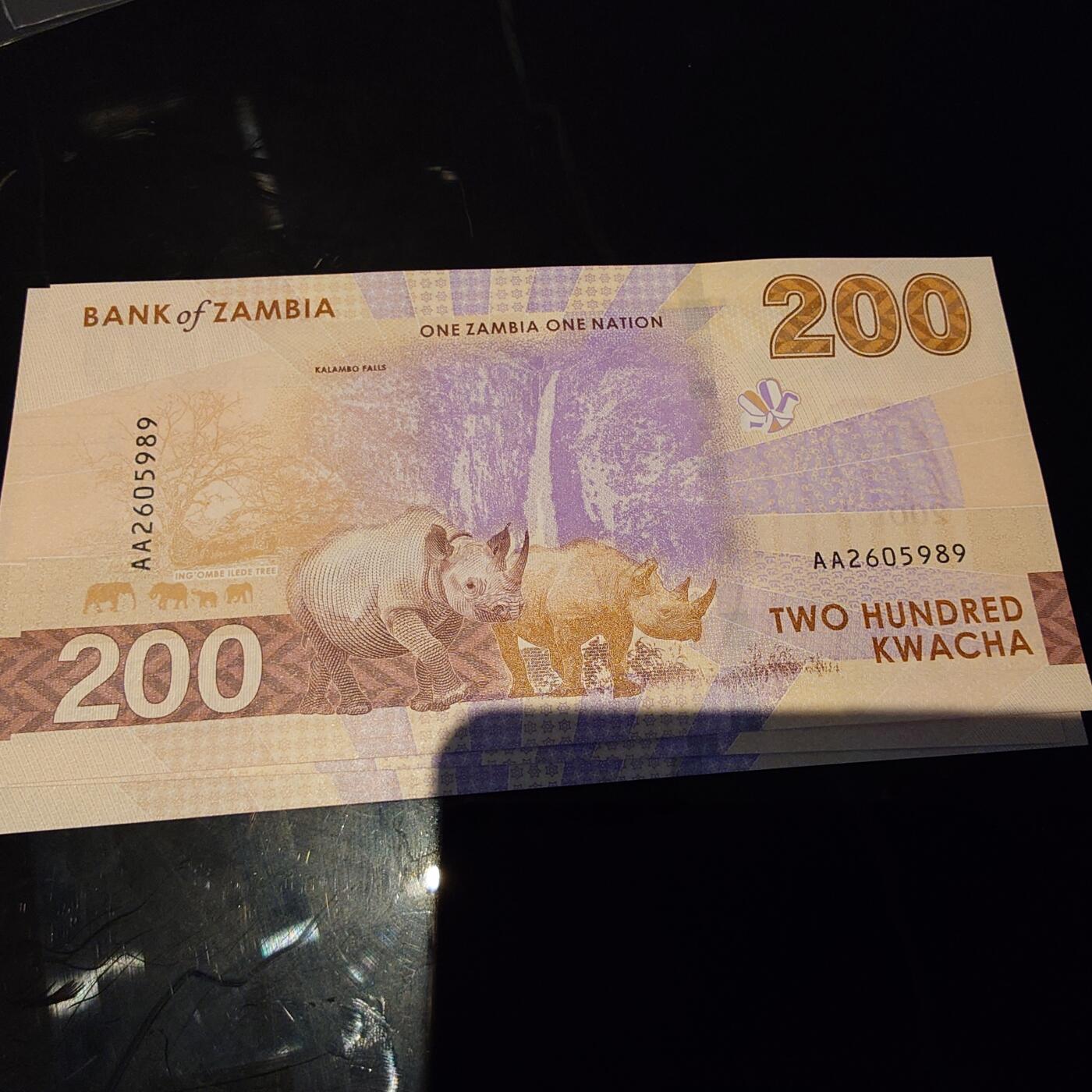 世界钱币～微拍第245期暨2026年第26期  新货卖剩品种部分上架提供选购 2025年赞比亚200克瓦查 首发AA冠全新绝品无47尾号989