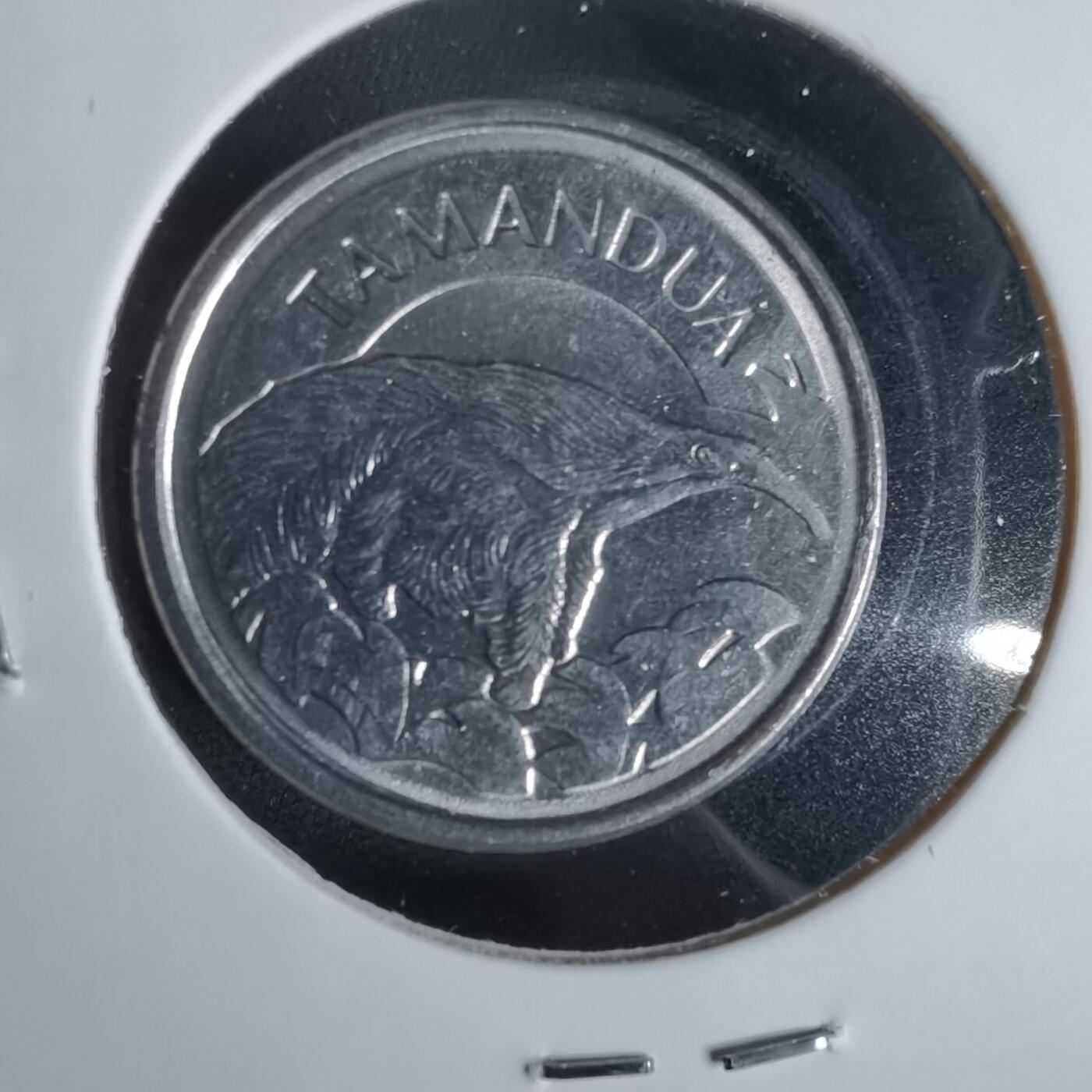 沼泽如烟--第1047场