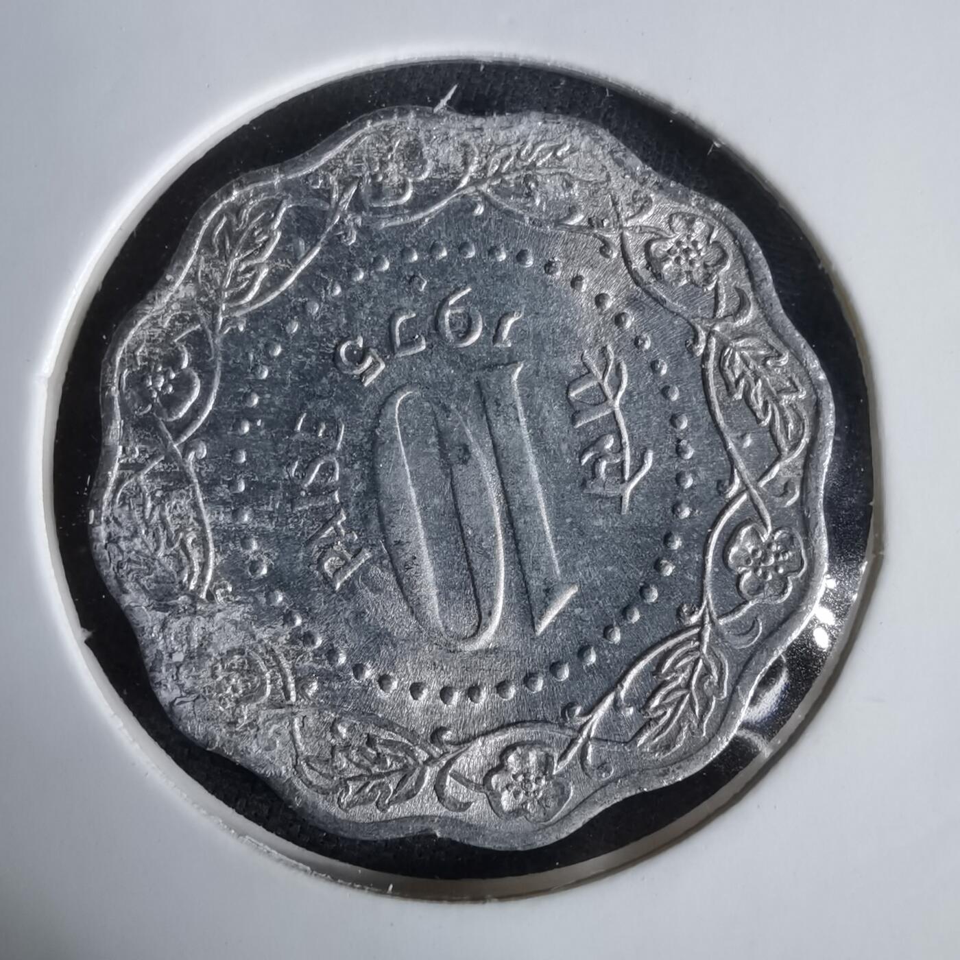 沼泽如烟--第1047场