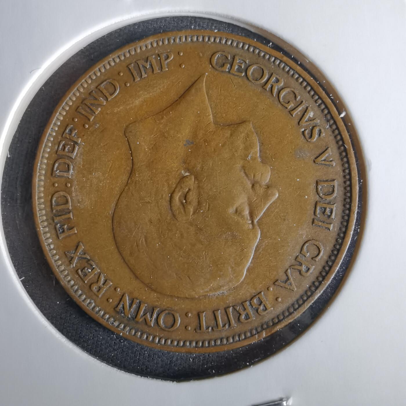 沼泽如烟--第1047场