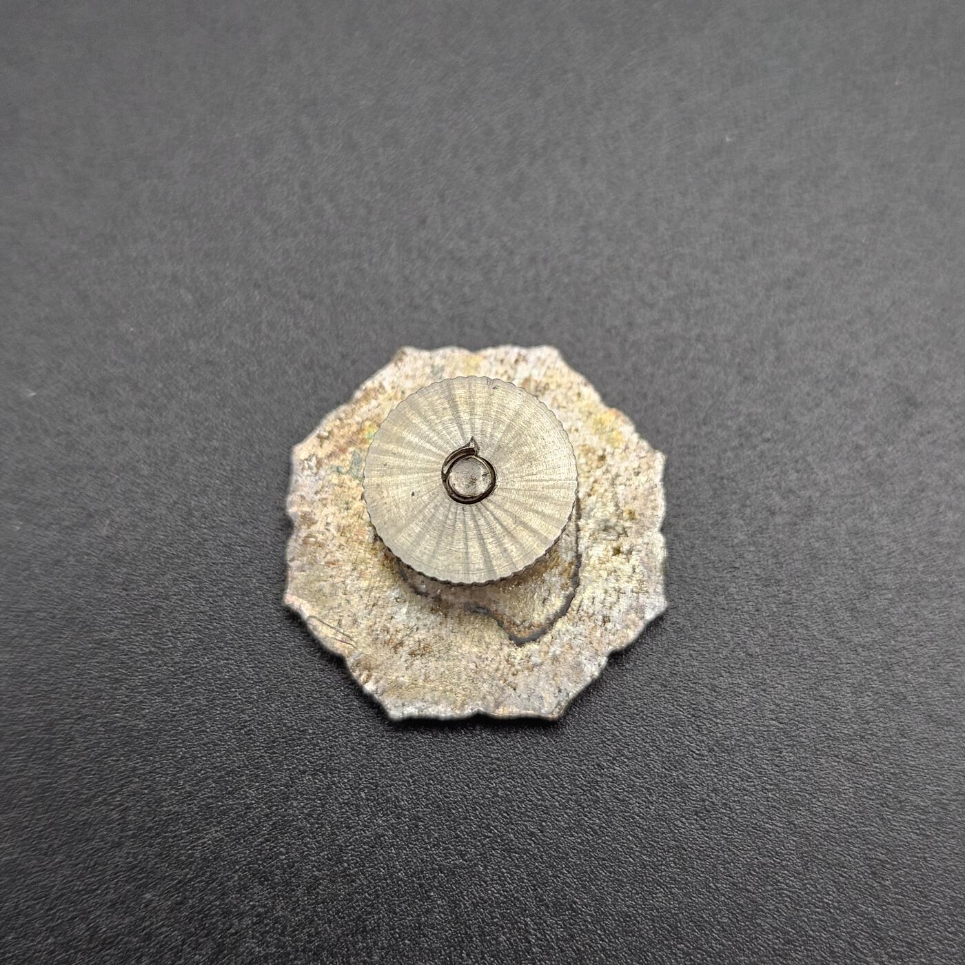 0元起拍勋章 第345期 咸鱼国勋章拍卖专场 4月12日（周日）下午6：00开始