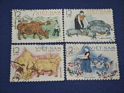 橙子收藏第八期(社会主义国家邮票专场) -  越南民主共和国（北越）1960年代 畜牧业主题邮票4枚  这是一套以越南农村畜牧生产为主题的邮票，生动展现了北越时期发展农业、保障民生的场景，是反映越南农村生活的代表性邮政藏品。