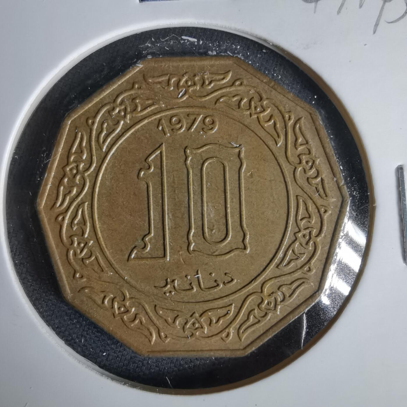 沼泽如烟--第1047场