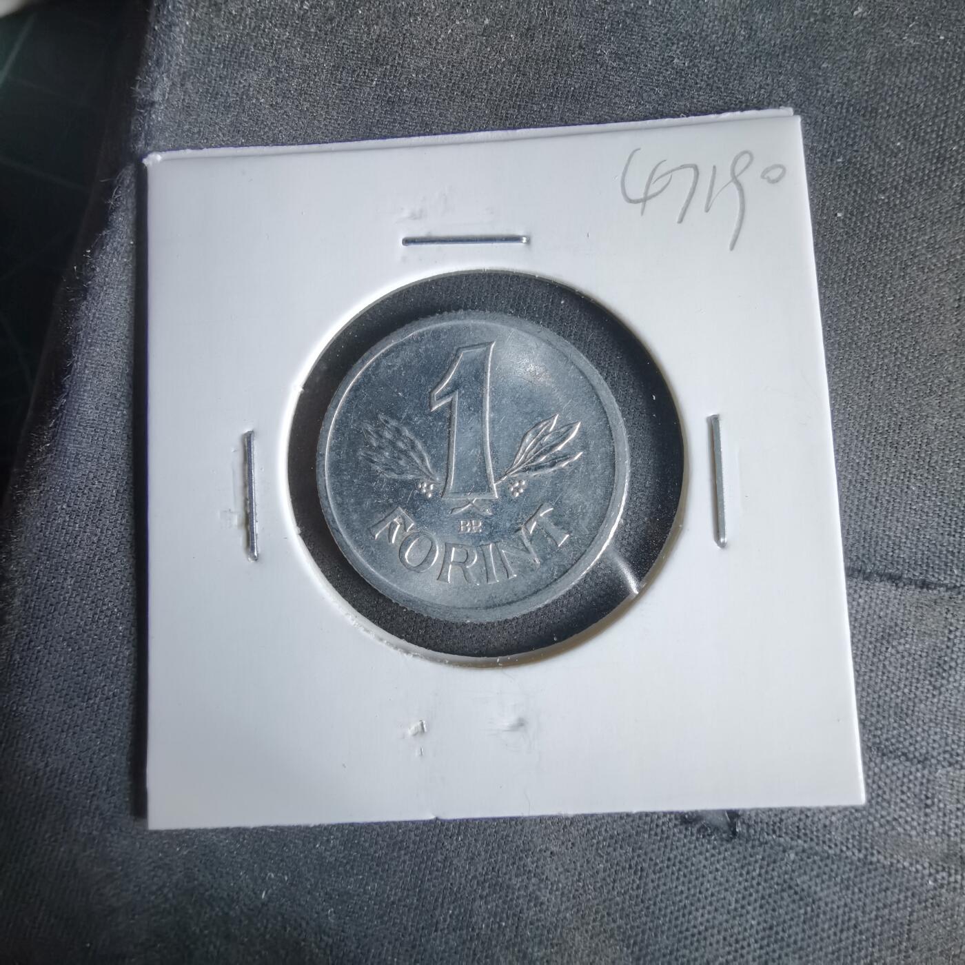 沼泽如烟--第1047场