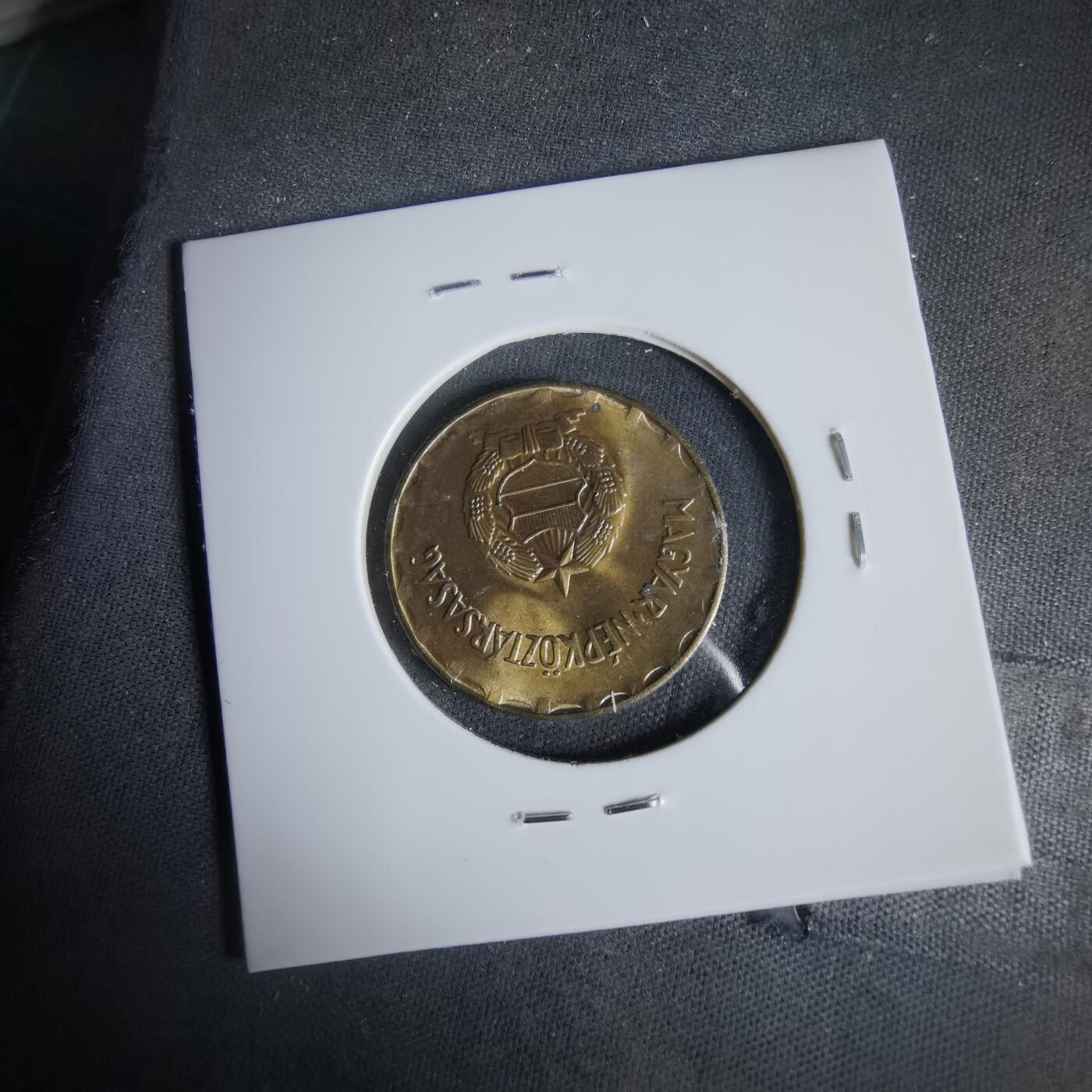 沼泽如烟--第1047场