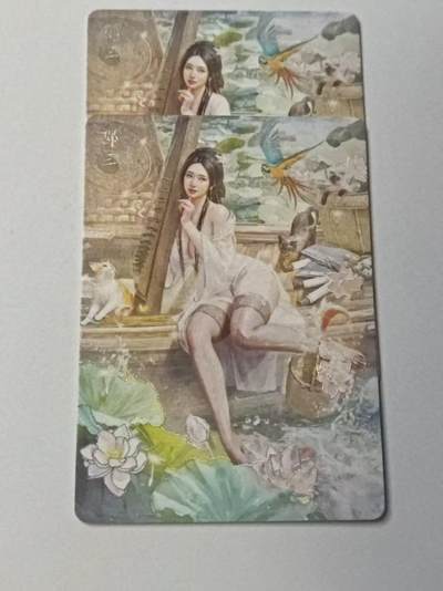 龙虎卡牌-八二场（满200元包邮，无佣金，每周六结拍，欢迎送拍） - 幻彩普卡2张 燎原焱卡 刷子人间传 - 邵三