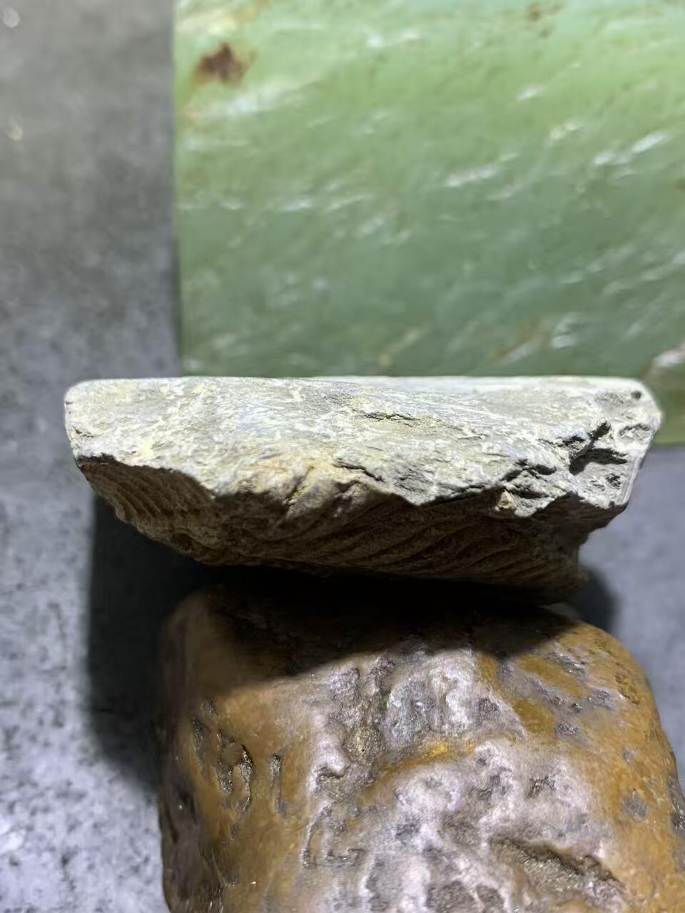 精美天然湘西三叶虫尾巴化石王冠虫张氏虫古生物化石标本原石一颗，