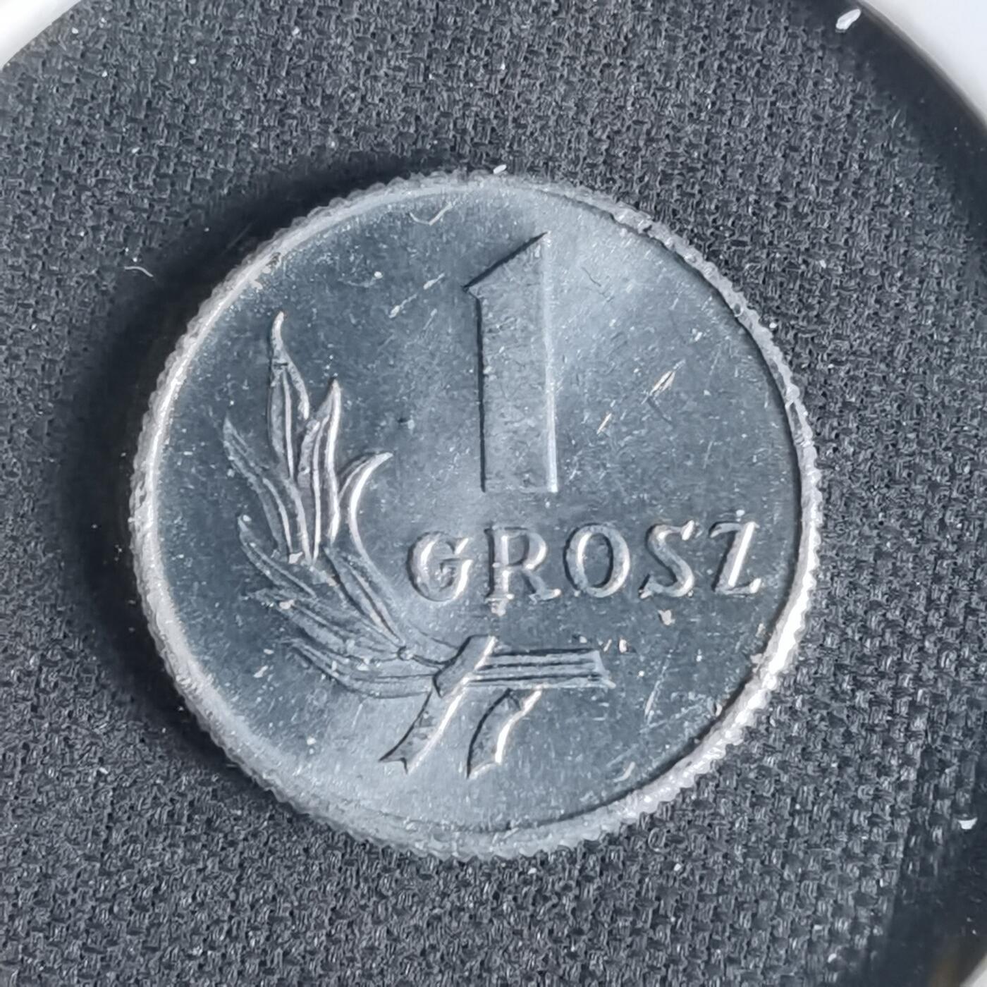 沼泽如烟--第1047场