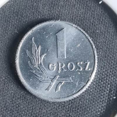 沼泽如烟--第1047场 - 波兰1949年1兹罗提