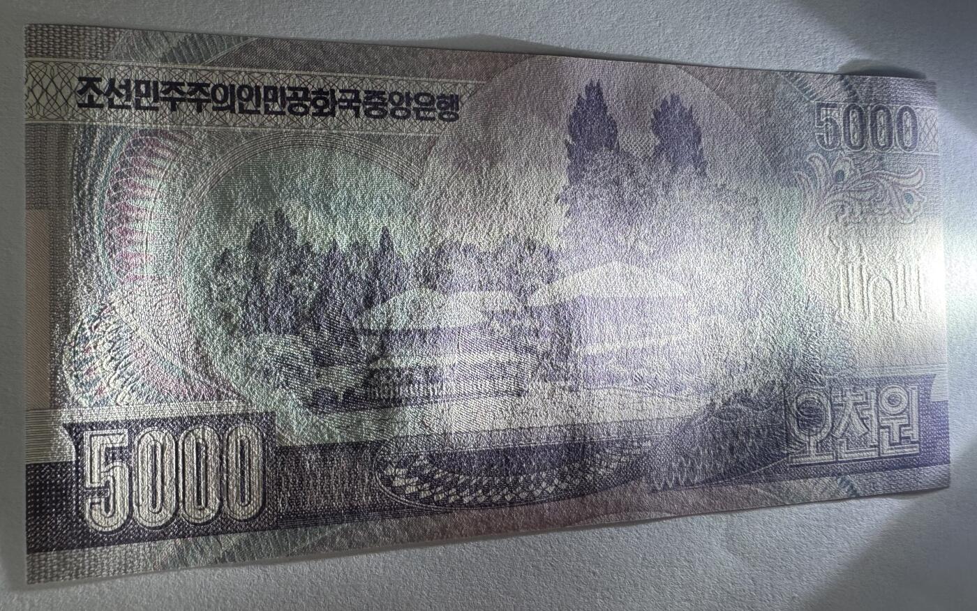 2026第7场（总第234期）：精品外钞、塑料钞、测试钞综合场  Error无序列号 朝鲜2006年版5000元UNC