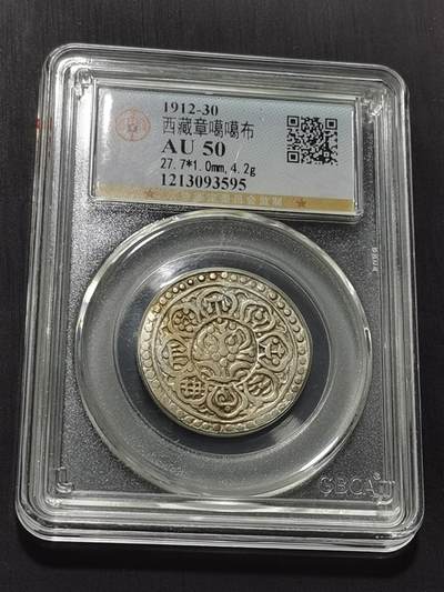 天下钱庄专场欢迎参拍 - 西藏章噶银币