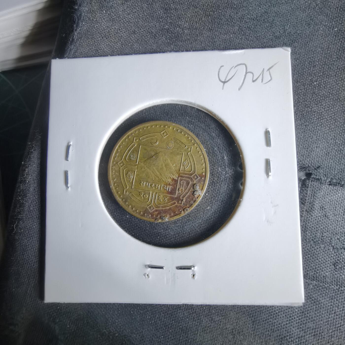 沼泽如烟--第1047场