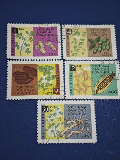 橙子收藏第八期(社会主义国家邮票专场) -  越南民主共和国（北越）农业作物系列邮票（5枚）  这是一套北越时期发行的粮食与经济作物主题邮票，通过鲜明的色块对比与写实插画，展现了越南本土重要的农产品，是北越农业宣传与经济建设的代表性作品。
