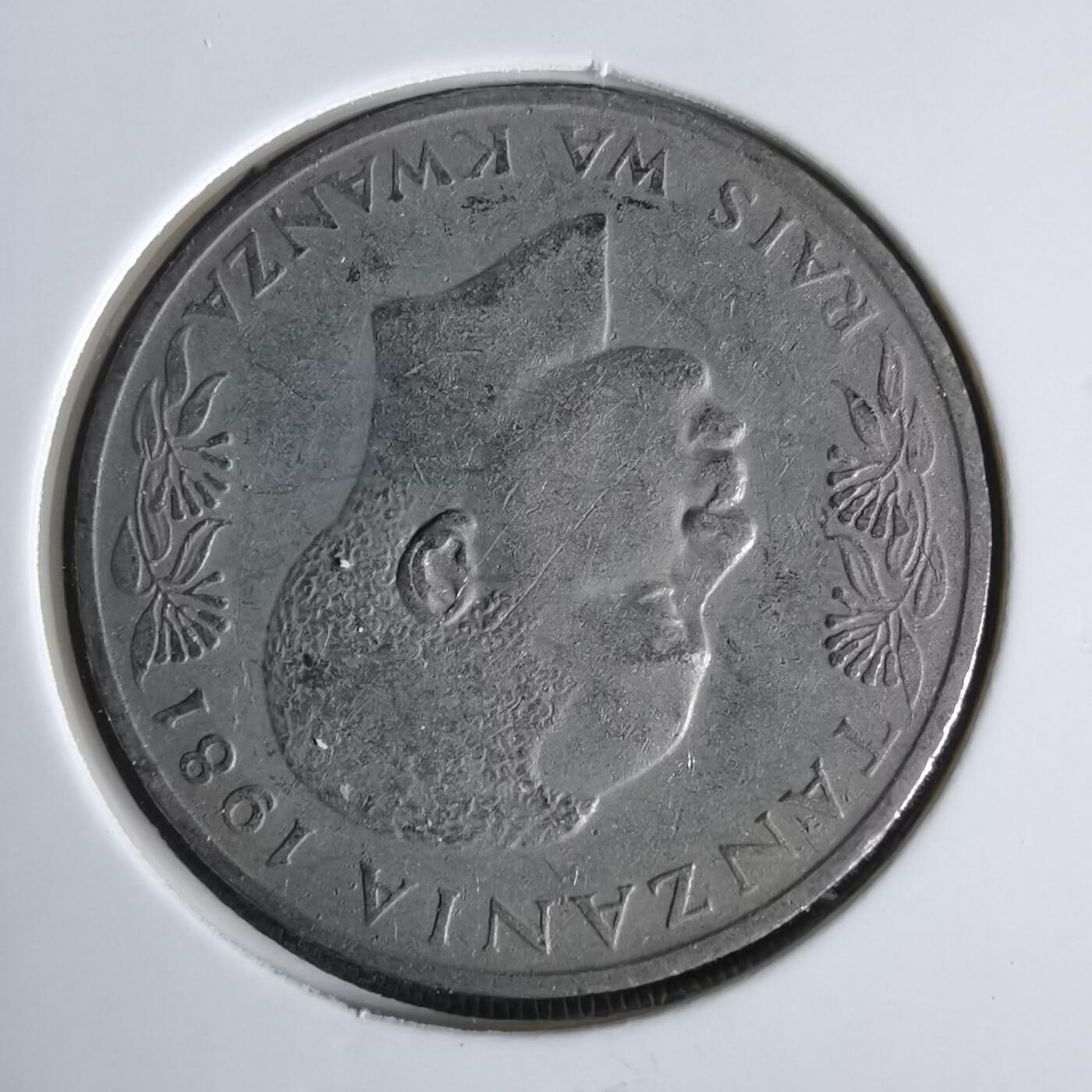 沼泽如烟--第1047场